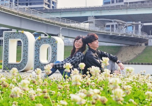 新北大都會公園「白花三葉草」盛開如春雪　伴繽紛花海共織夢幻美景　邀大眾賞花踏青