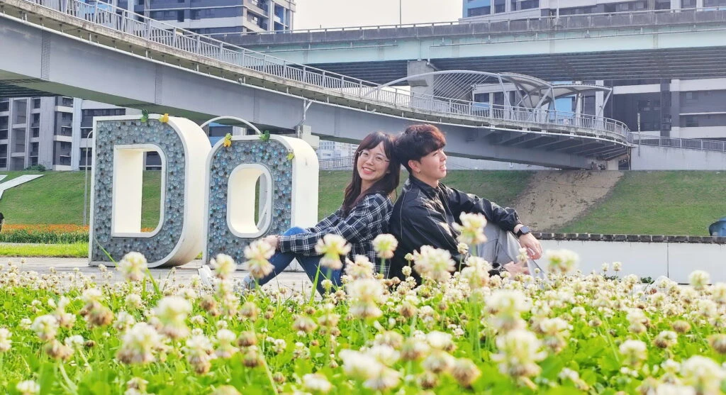 新北大都會公園「白花三葉草」盛開如春雪　伴繽紛花海共織夢幻美景　邀大眾賞花踏青
