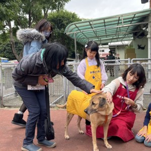 新北「動保小小兵」出動！　兒童節生命教育啟航  結合馬年特展引領孩童學習尊重生命