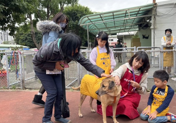 新北「動保小小兵」出動！　兒童節生命教育啟航  結合馬年特展引領孩童學習尊重生命