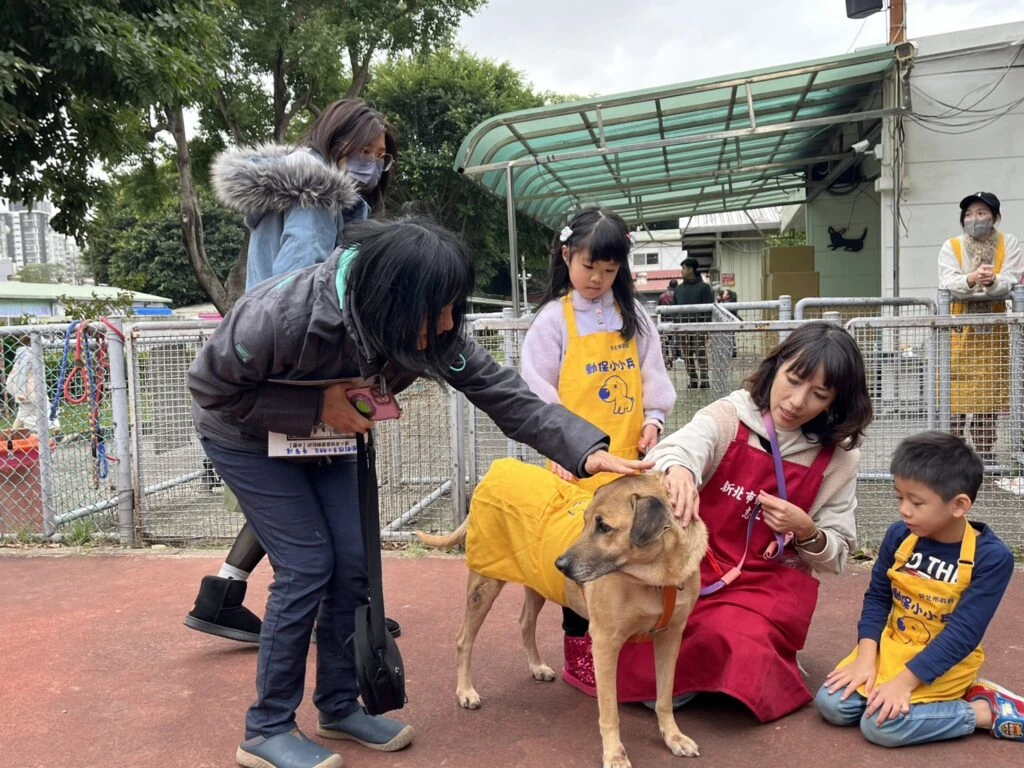 新北「動保小小兵」出動！　兒童節生命教育啟航  結合馬年特展引領孩童學習尊重生命