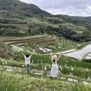 鳶尾花綻放百年梯田！　石門嵩山社區「春季限定」紫色花海美如梵谷名畫
