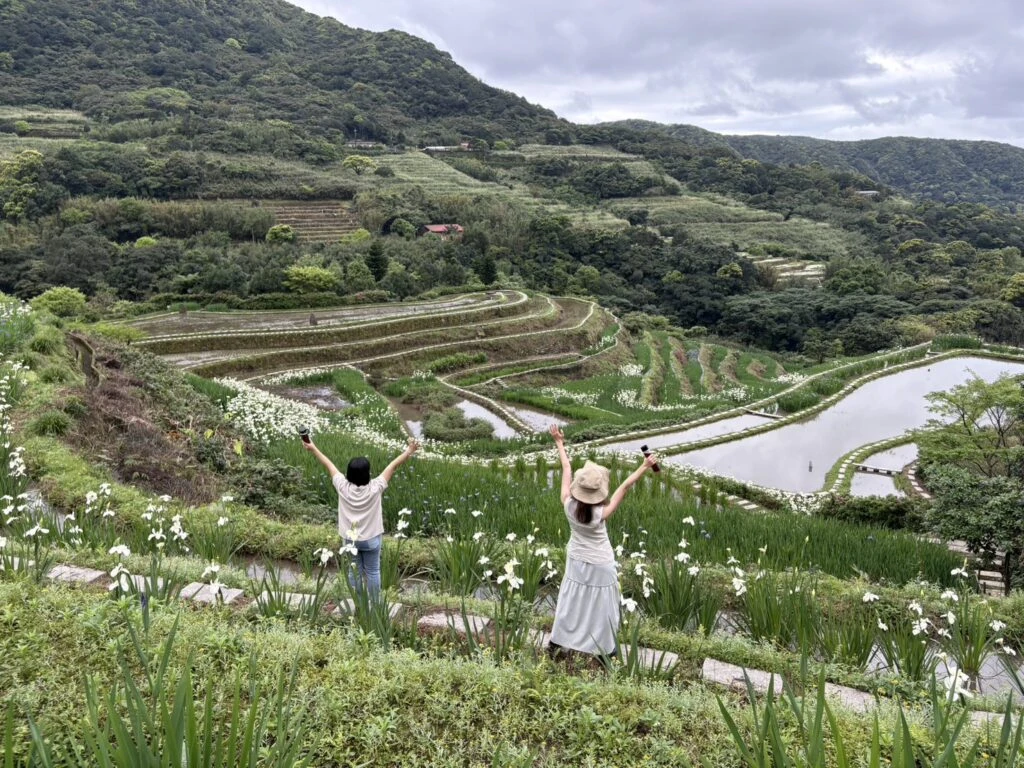 鳶尾花綻放百年梯田！　石門嵩山社區「春季限定」紫色花海美如梵谷名畫