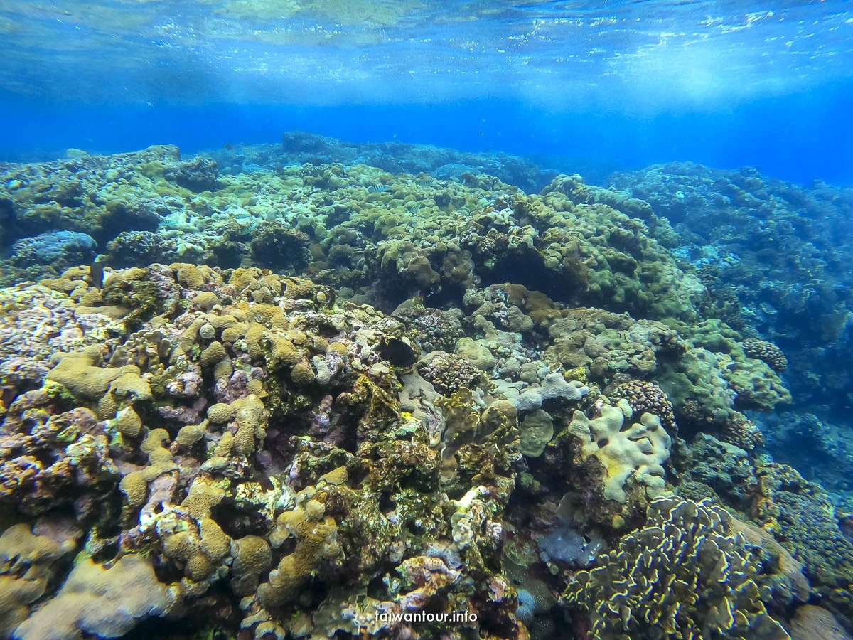 【蘭嶼三天兩夜懶人包】飛魚、地下屋、壯闊海景 all in one