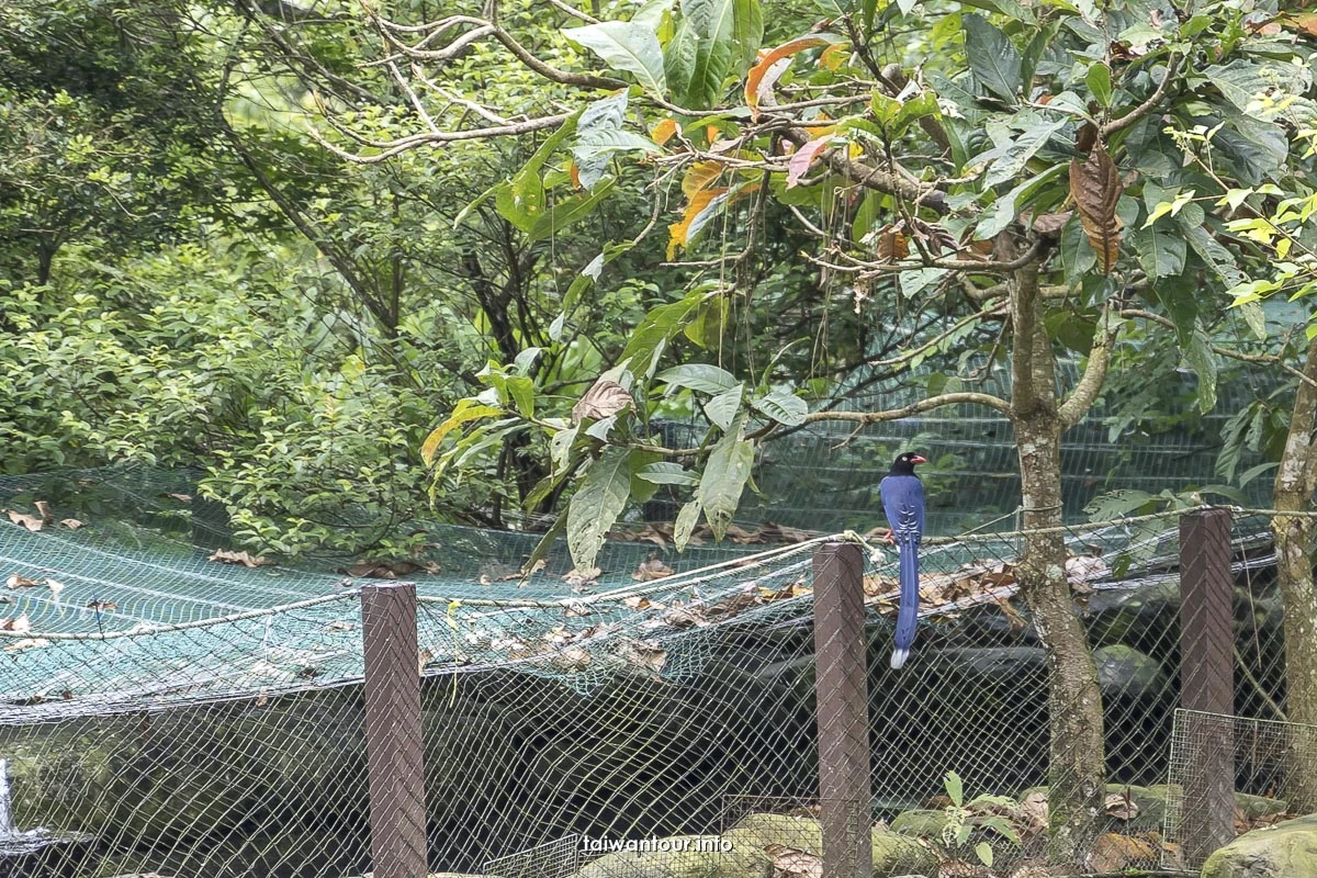 【宜蘭居悠谷生態民宿】小礁溪包棟.烤肉.螢火蟲生態民宿評價