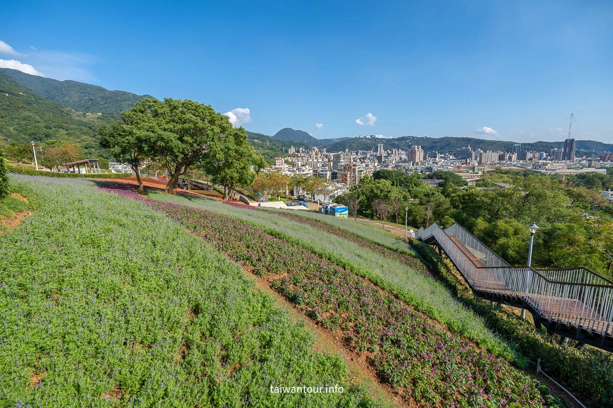 【2026北投社三層崎公園】富良野花海.IG網美秘境.交通地址