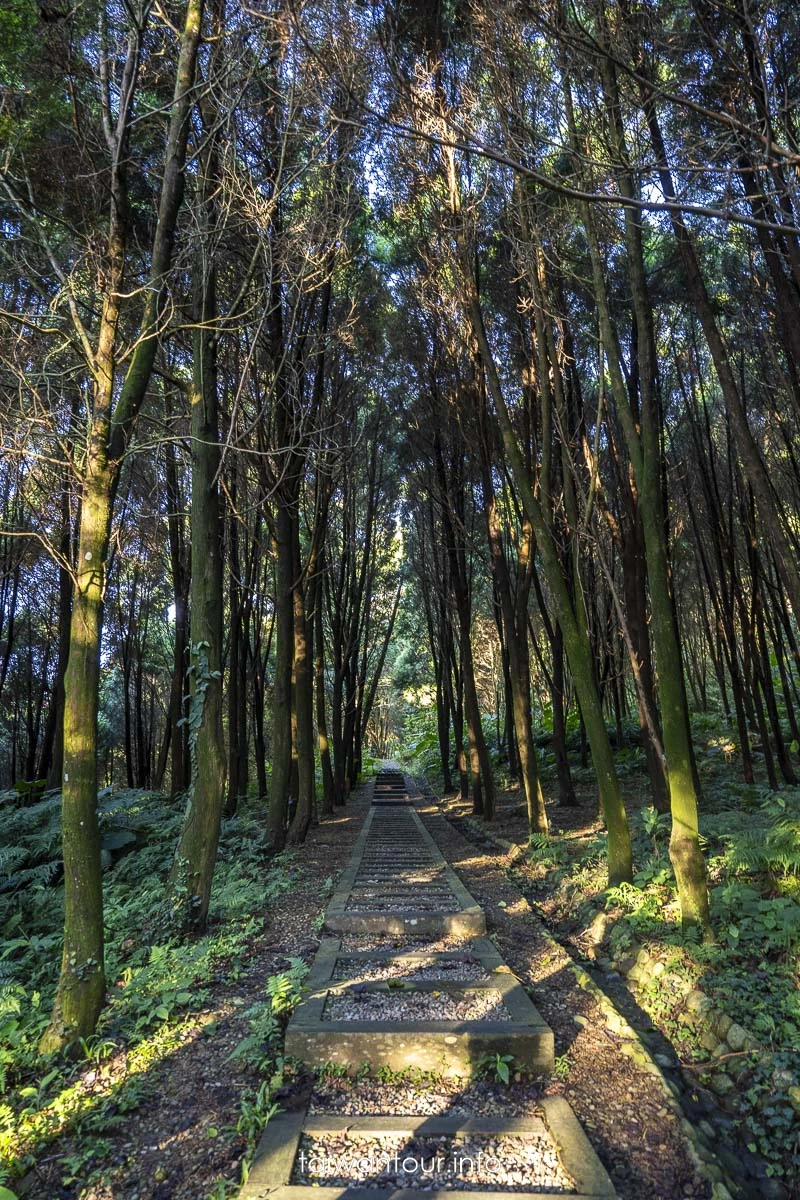 【出關古道.薑麻園觀雲樓】苗栗三義親子步道景點推薦