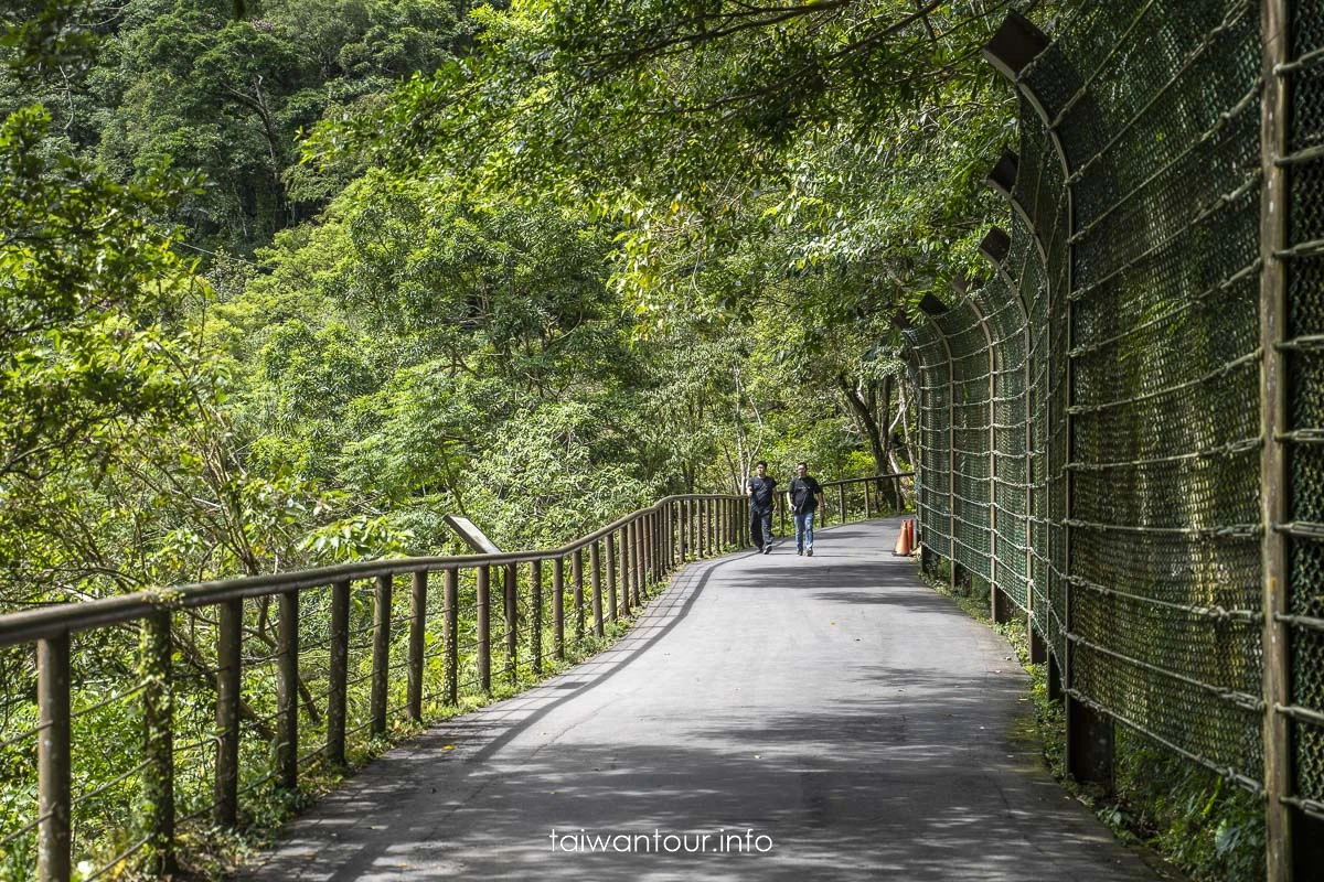 【滿月圓國家森林遊樂區】新北三峽親子步道景點推薦.無障礙步道