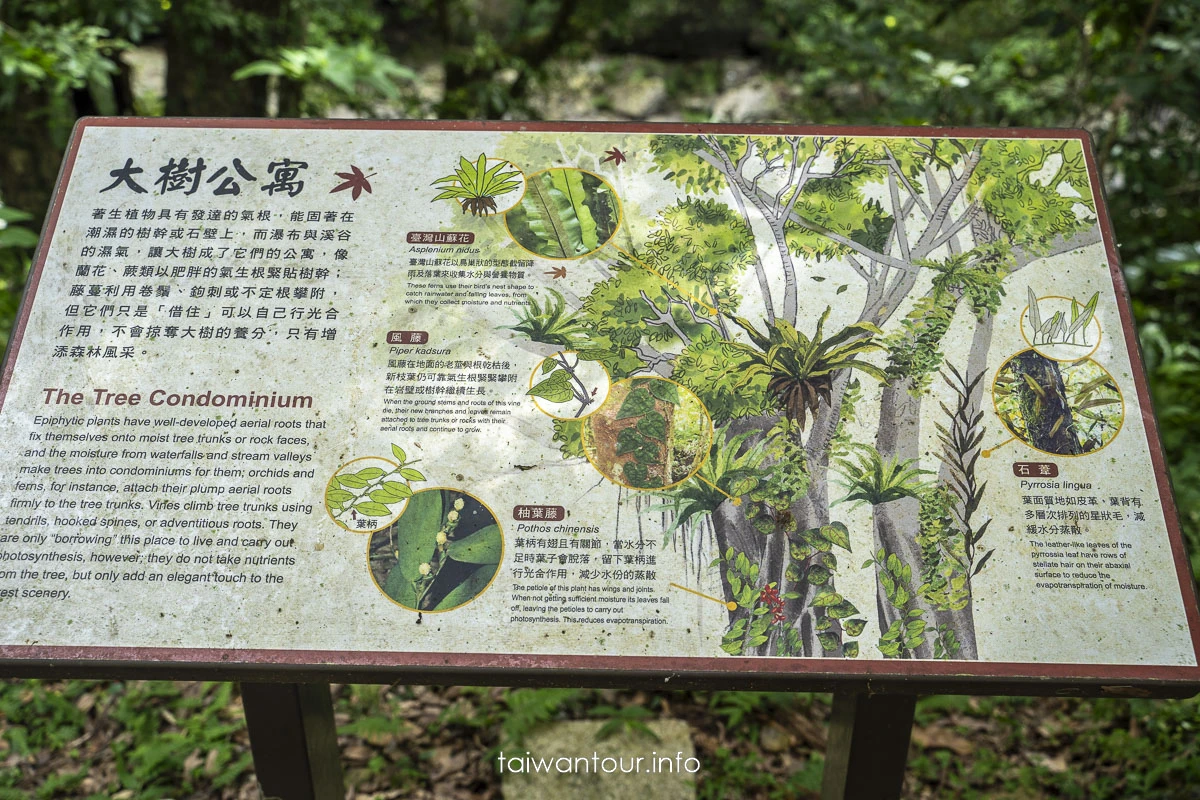 【滿月圓國家森林遊樂區】新北三峽親子步道景點推薦.無障礙步道