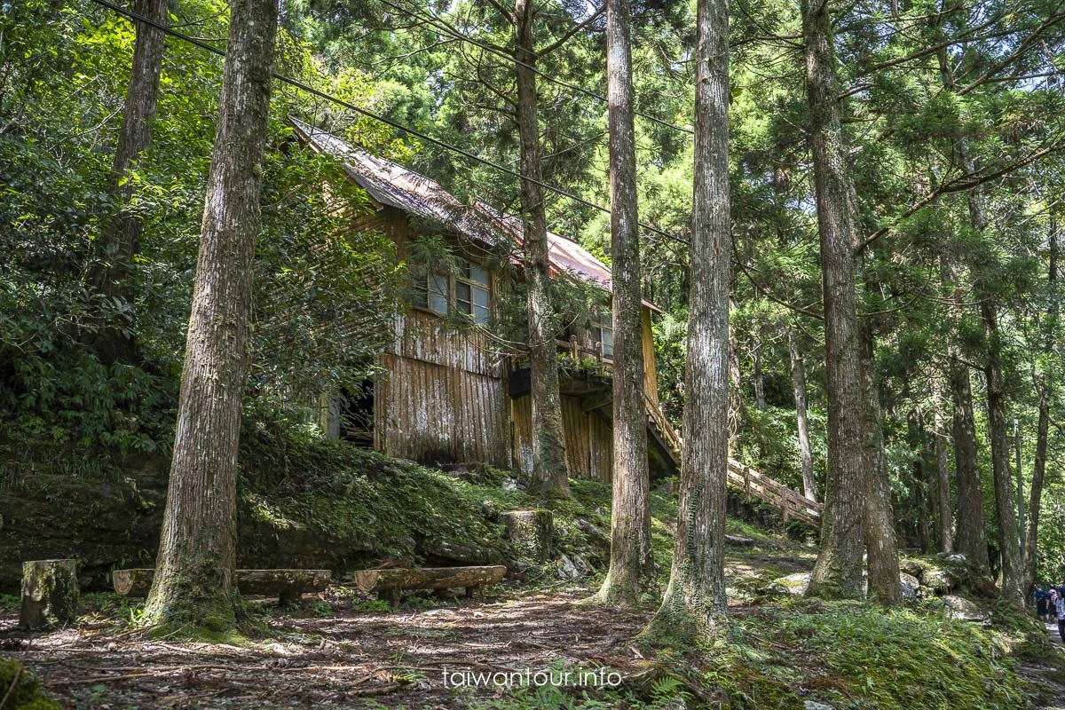 【滿月圓國家森林遊樂區】新北三峽親子步道景點推薦.無障礙步道 【滿月圓國家森林遊樂區】新北三峽親子步道景點推薦.無障礙步道