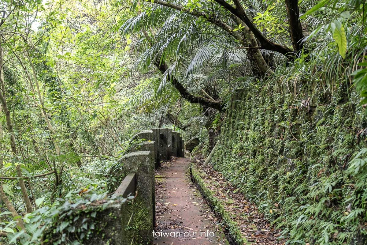【暖東峽谷】基隆親子景點暖暖健行玩水秘境 【暖東峽谷】基隆親子景點暖暖健行玩水秘境