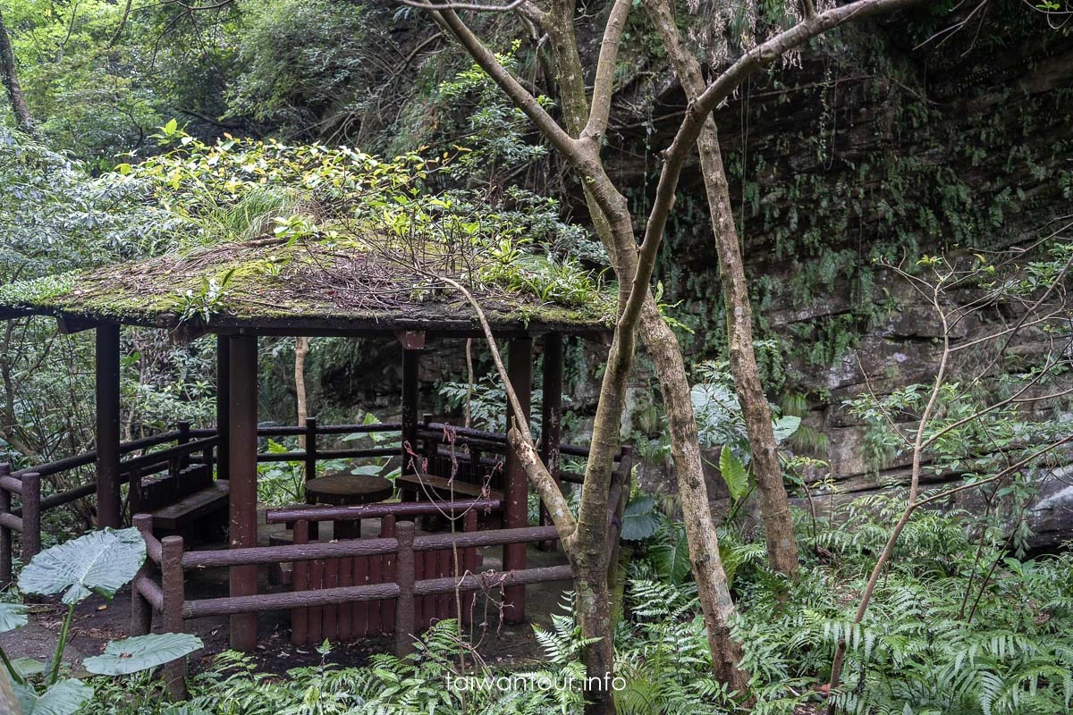 【暖東峽谷】基隆親子景點暖暖健行玩水秘境 【暖東峽谷】基隆親子景點暖暖健行玩水秘境