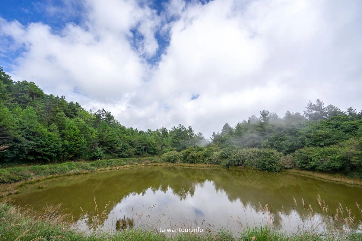 【大雪山國家森林遊樂區】台中景點神木.雲海.觀星.賞鳥全包!台灣好行889大雪山線 【大雪山國家森林遊樂區】台中景點神木.雲海.觀星.賞鳥全包!台灣好行889大雪山線