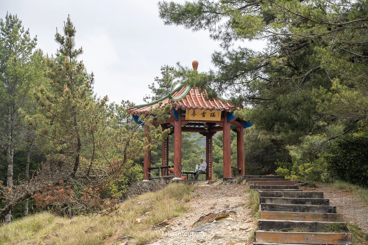 【大雪山國家森林遊樂區】台中景點神木.雲海.觀星.賞鳥全包!台灣好行889大雪山線 【大雪山國家森林遊樂區】台中景點神木.雲海.觀星.賞鳥全包!台灣好行889大雪山線
