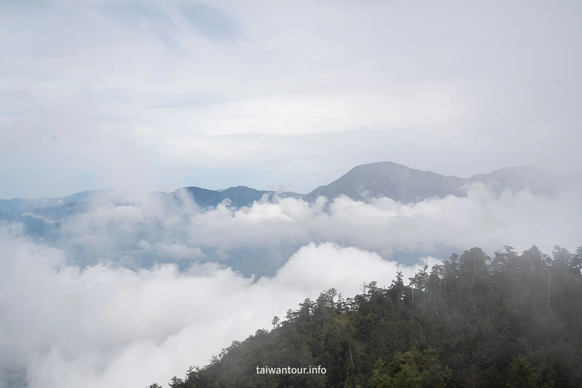 【大雪山國家森林遊樂區】台中景點神木.雲海.觀星.賞鳥全包!台灣好行889大雪山線 【大雪山國家森林遊樂區】台中景點神木.雲海.觀星.賞鳥全包!台灣好行889大雪山線