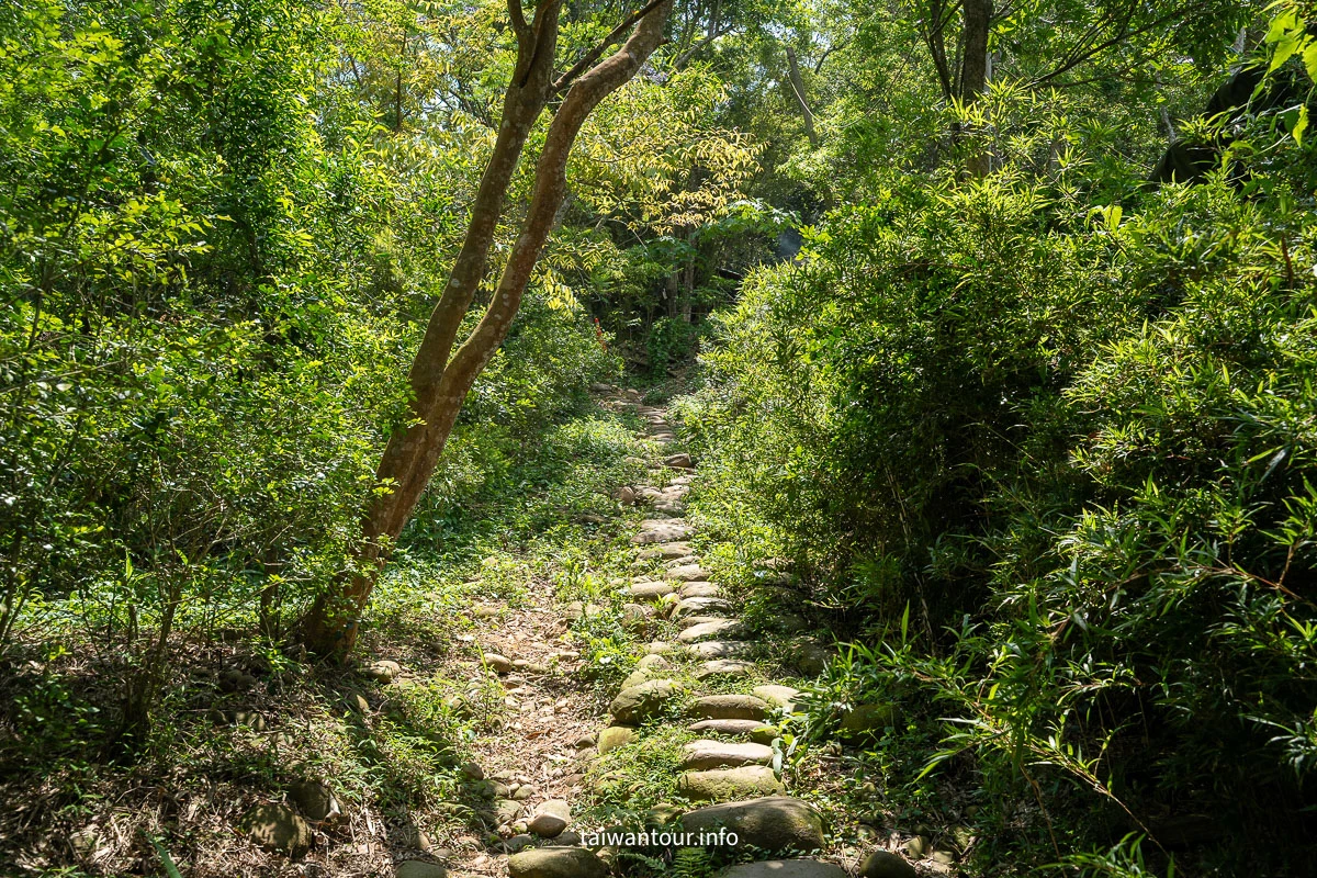 【挑炭古道||三通嶺古道】苗栗客家燒炭智慧與絕美山海景! 【挑炭古道||三通嶺古道】苗栗客家燒炭智慧與絕美山海景!