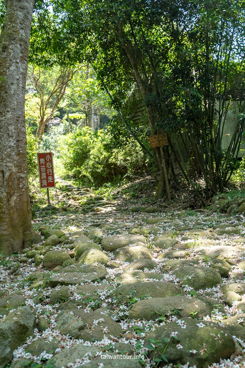【挑炭古道||三通嶺古道】苗栗客家燒炭智慧與絕美山海景！