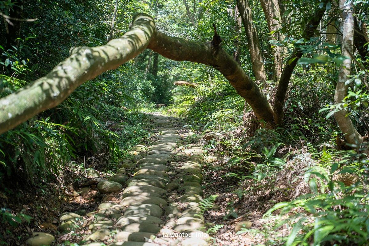 【挑炭古道||三通嶺古道】苗栗客家燒炭智慧與絕美山海景！