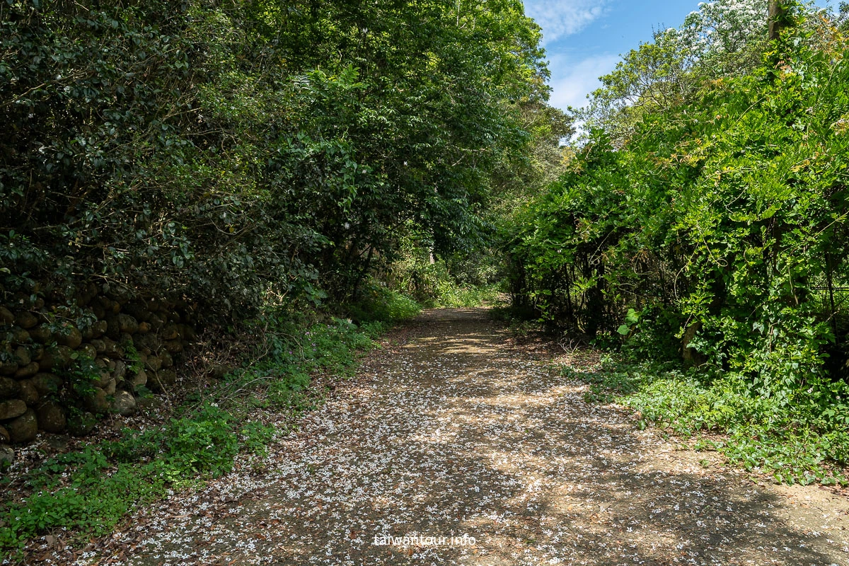 【挑炭古道||三通嶺古道】苗栗客家燒炭智慧與絕美山海景! 【挑炭古道||三通嶺古道】苗栗客家燒炭智慧與絕美山海景!