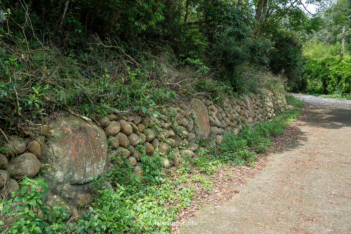 【挑炭古道||三通嶺古道】苗栗客家燒炭智慧與絕美山海景！