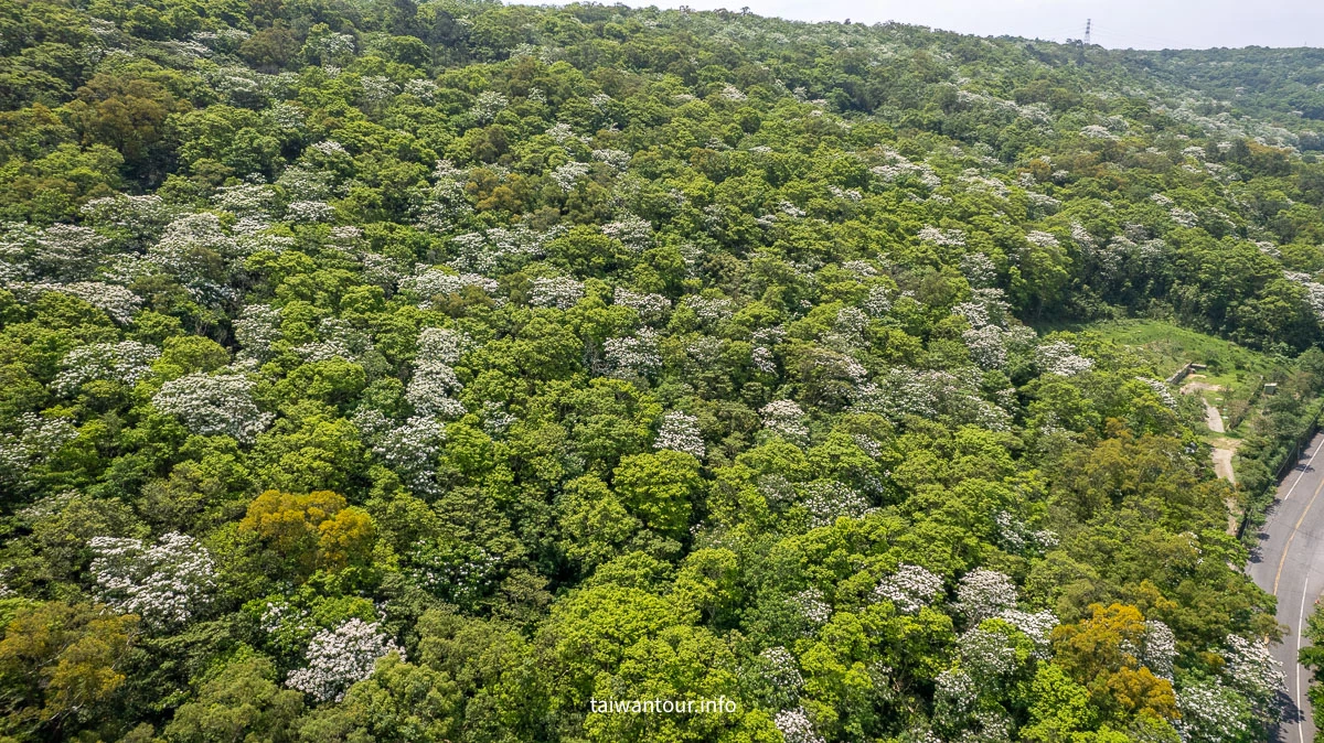【挑炭古道||三通嶺古道】苗栗客家燒炭智慧與絕美山海景! 【挑炭古道||三通嶺古道】苗栗客家燒炭智慧與絕美山海景!