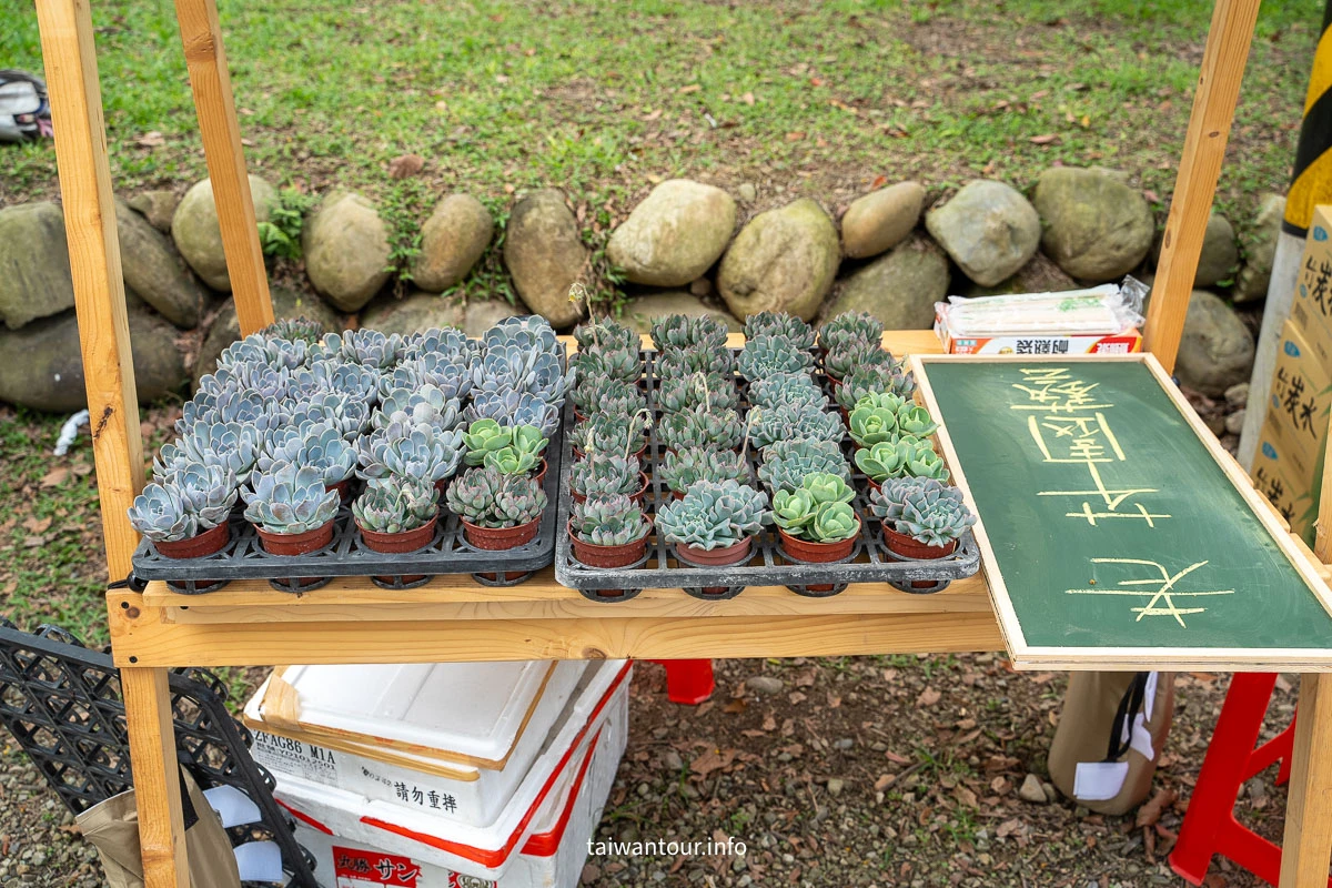 【漫步康莊大家來作客||大溪區康莊休閒農業發展協會】桃園景點親子一日遊