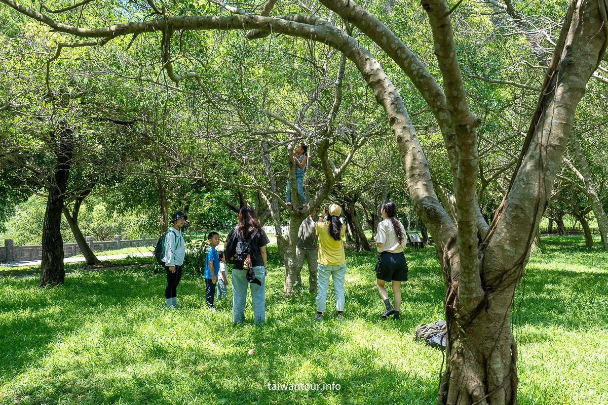 【貴子坑露營場．自然教育園區】台北秘境親山步道一日遊/戶外教學