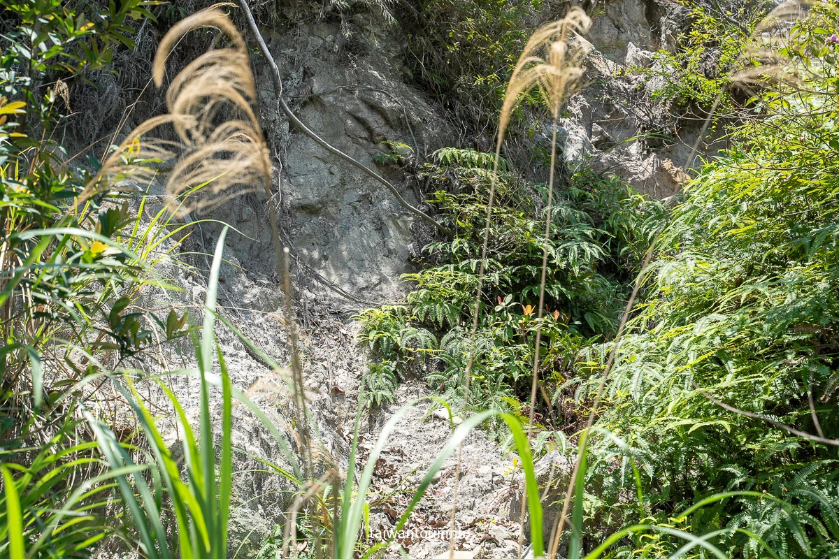 【貴子坑露營場．自然教育園區】台北秘境親山步道一日遊/戶外教學