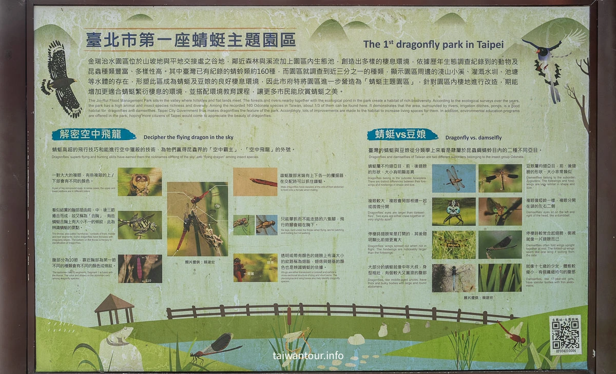 【 金瑞治水園區】內湖親子景點推薦.蜻蜓園區 【 金瑞治水園區】內湖親子景點推薦.蜻蜓園區