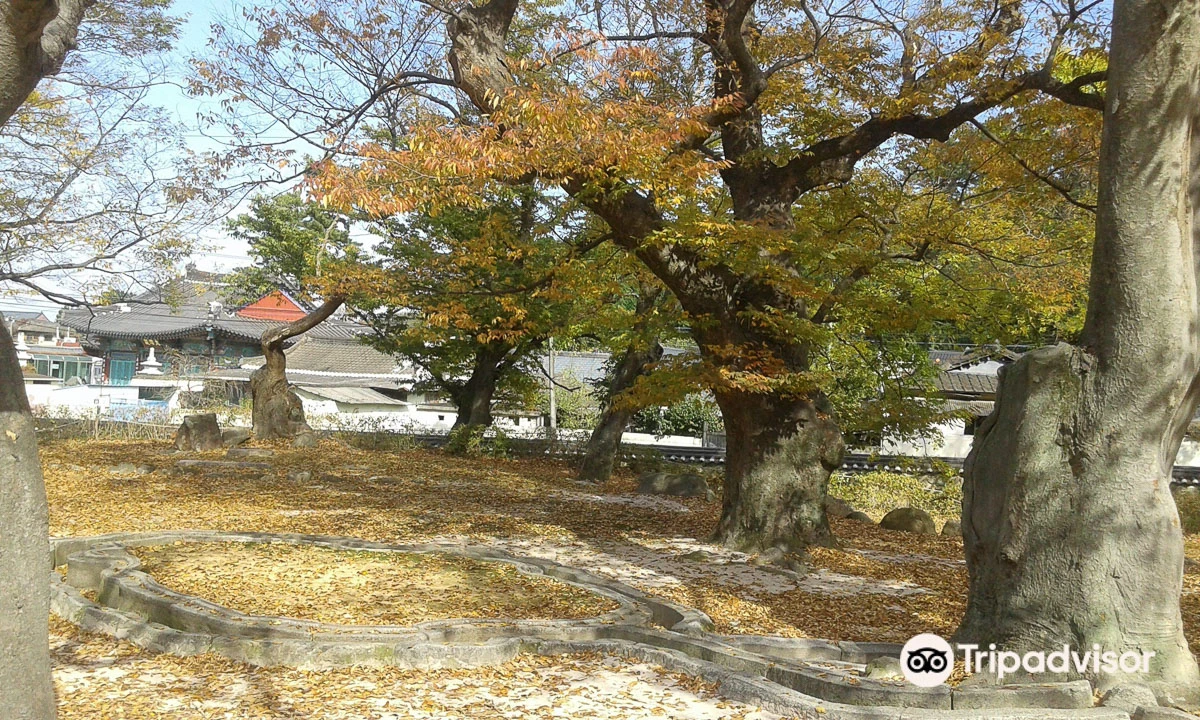 【慶州 4 天 3 夜行程與景點】帶你輕鬆玩遍「沒屋頂的博物館」，還有隱藏版美食！