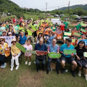 水梯田化身熱血競技場　石門水梯田排球嘉年華熱烈開打