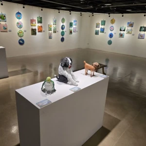 新北三藝文中心116年度美術展覽申請 即日起開放報名
