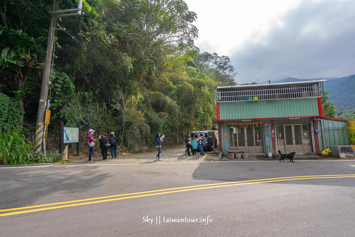 【埋伏坪步道】台中和平景點泰雅雙崎部落生態步道