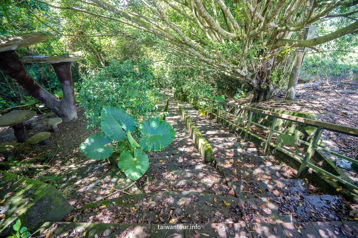 【永安玉龍泉步道】台東鹿野親子景點推薦 【永安玉龍泉步道】台東鹿野親子景點推薦