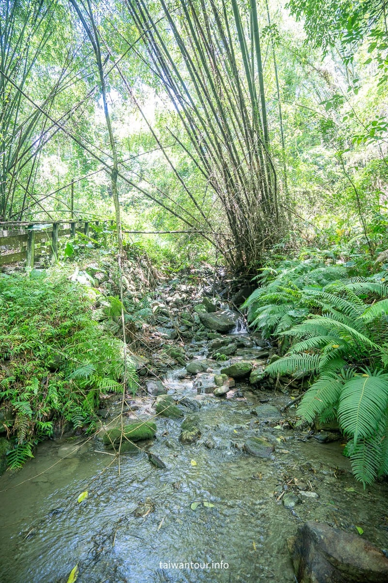 【永安玉龍泉步道】台東鹿野親子景點推薦 【永安玉龍泉步道】台東鹿野親子景點推薦