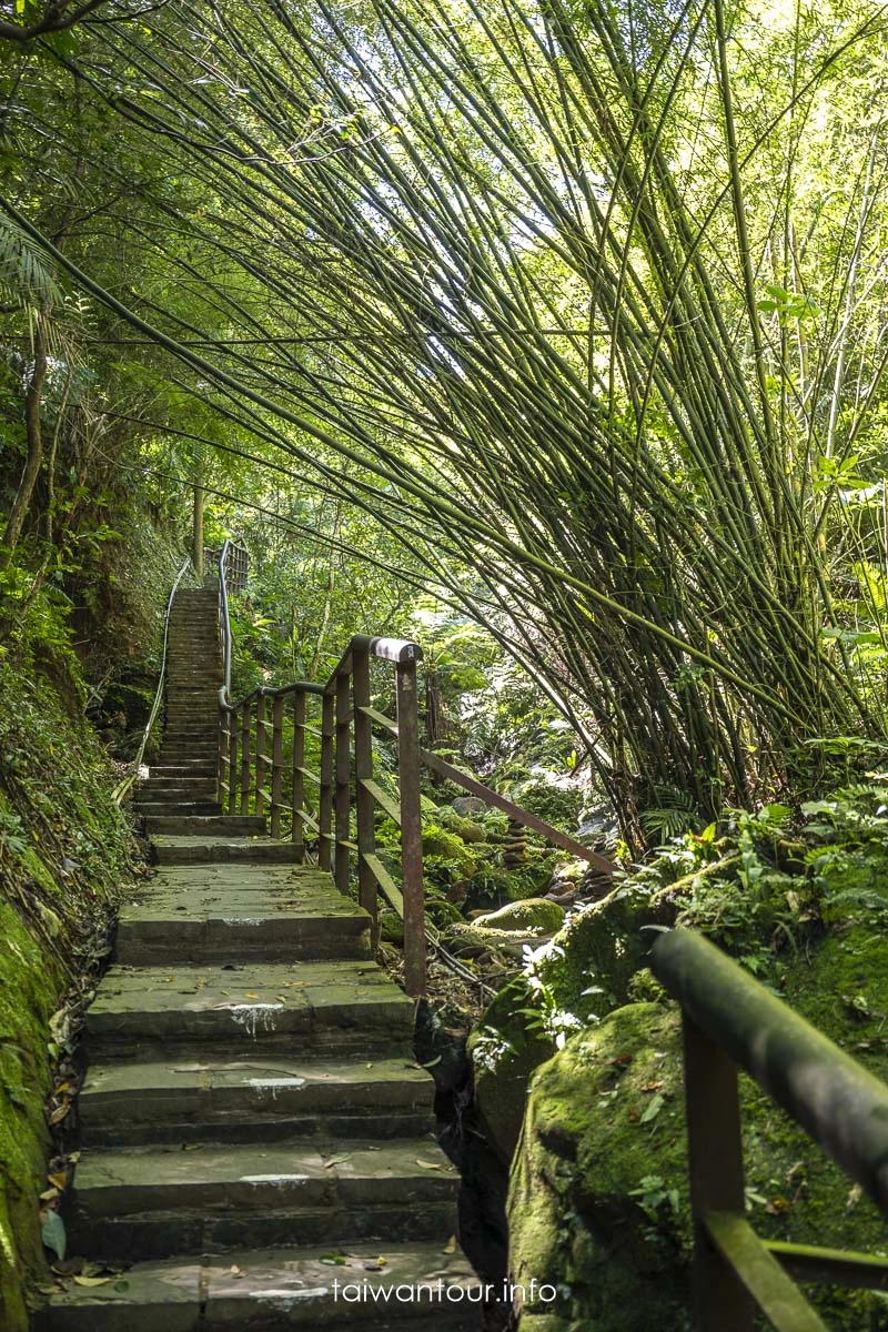【豹山溪步道】台北免費景點親子大自然.螢火蟲推薦