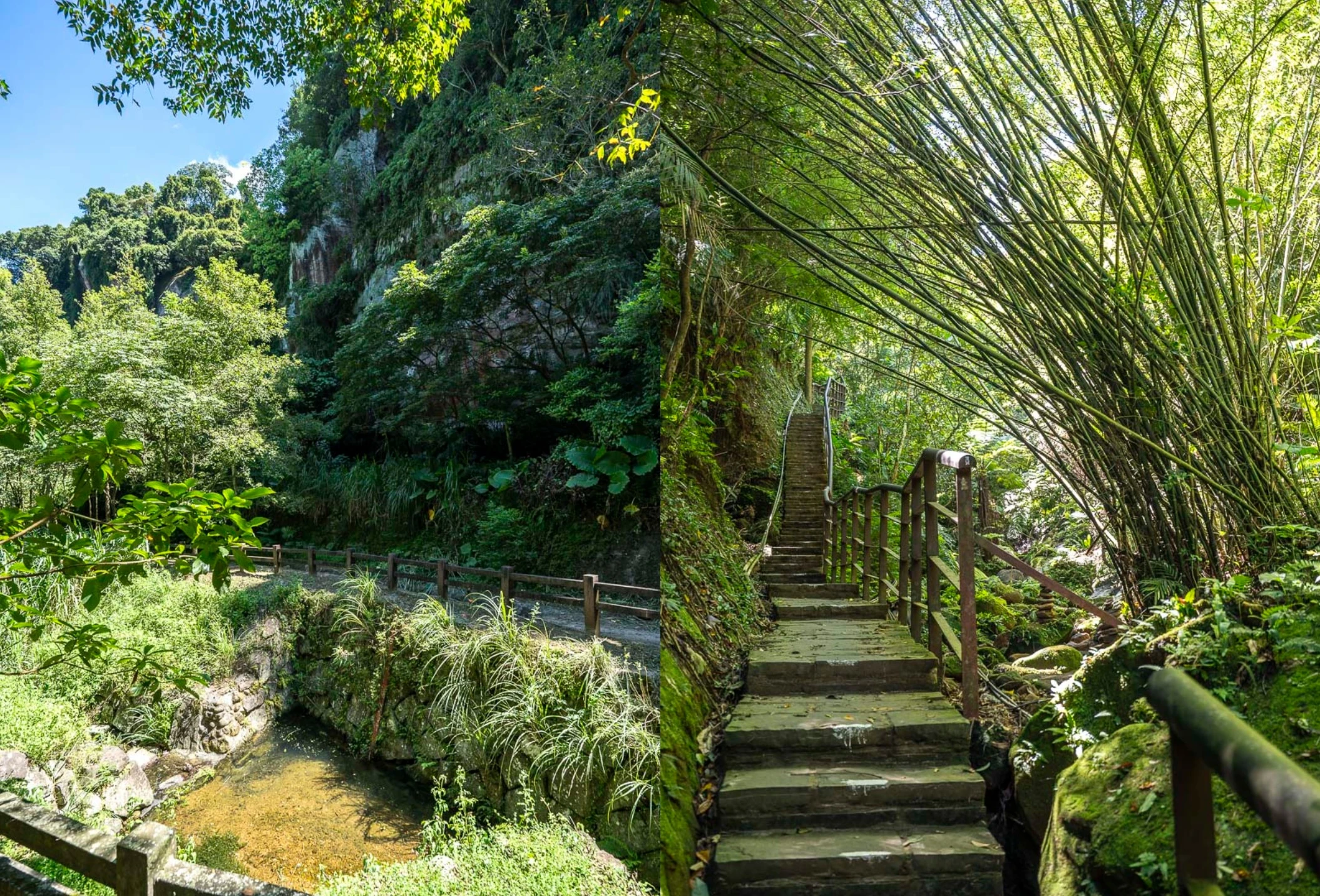 【豹山溪步道】台北免費景點親子大自然.螢火蟲推薦