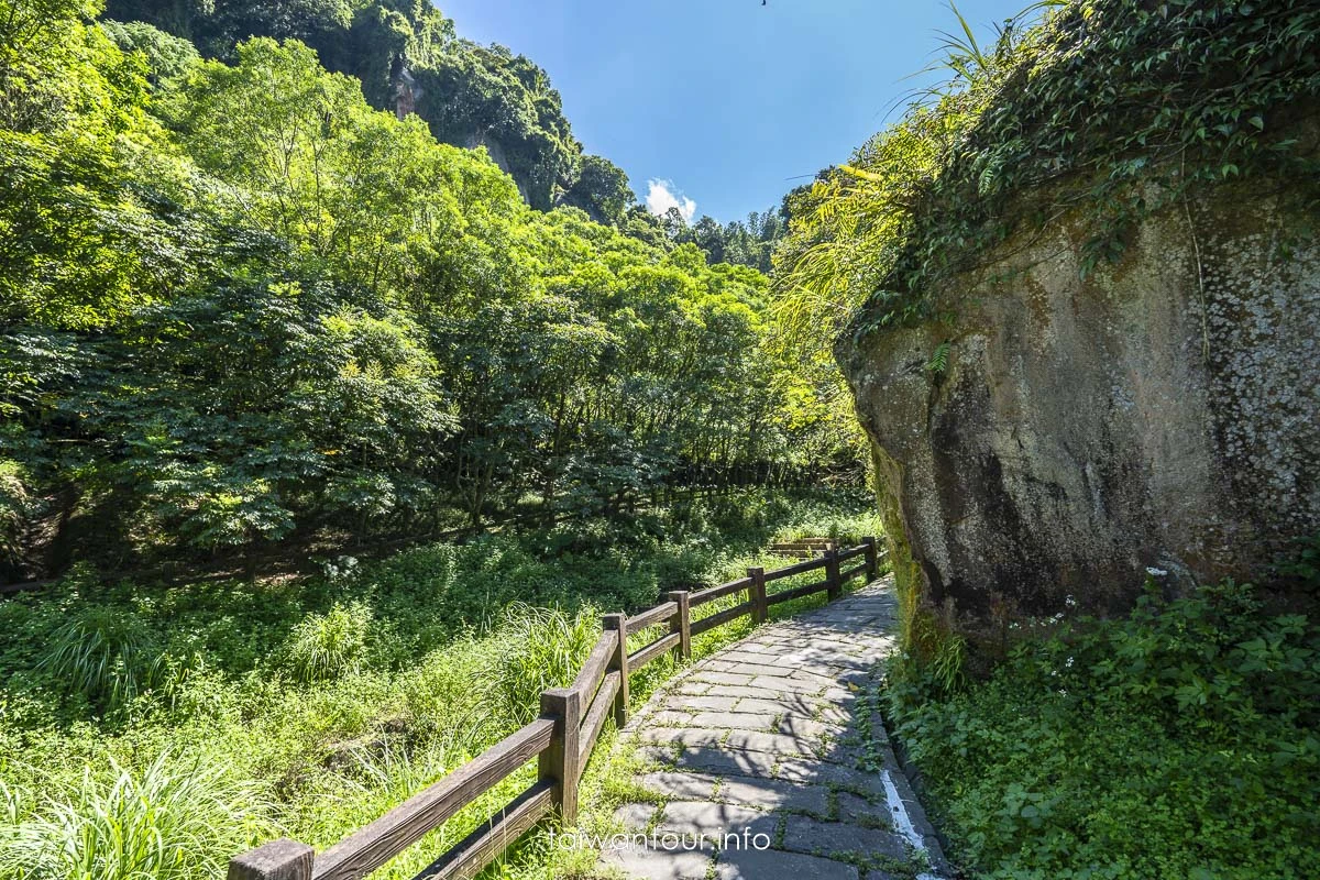 【豹山溪步道】台北免費景點親子大自然.螢火蟲推薦