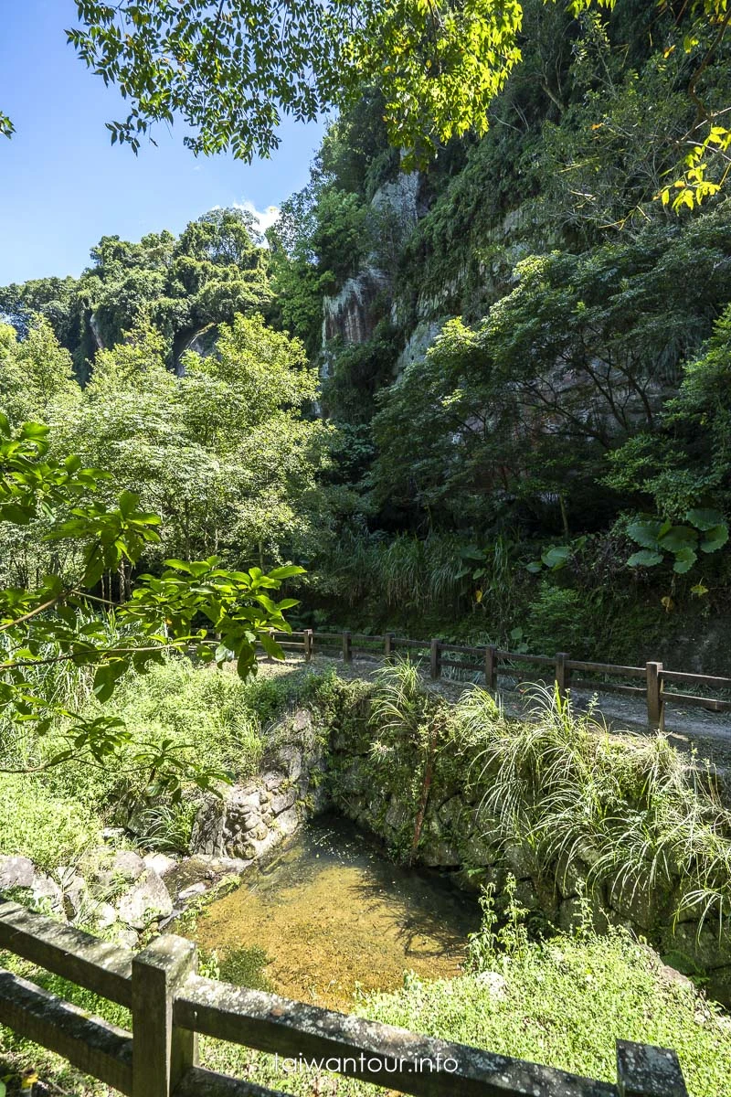 【豹山溪步道】台北免費景點親子大自然.螢火蟲推薦