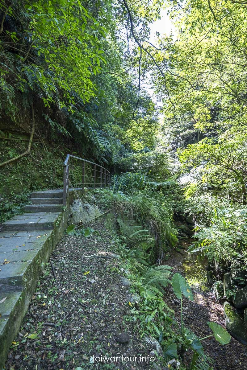 【豹山溪步道】台北免費景點親子大自然.螢火蟲推薦