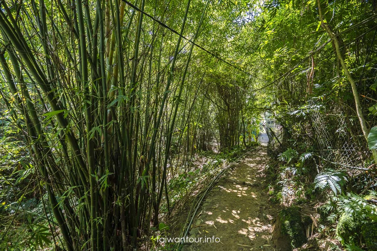 【豹山溪步道】台北免費景點親子大自然.螢火蟲推薦