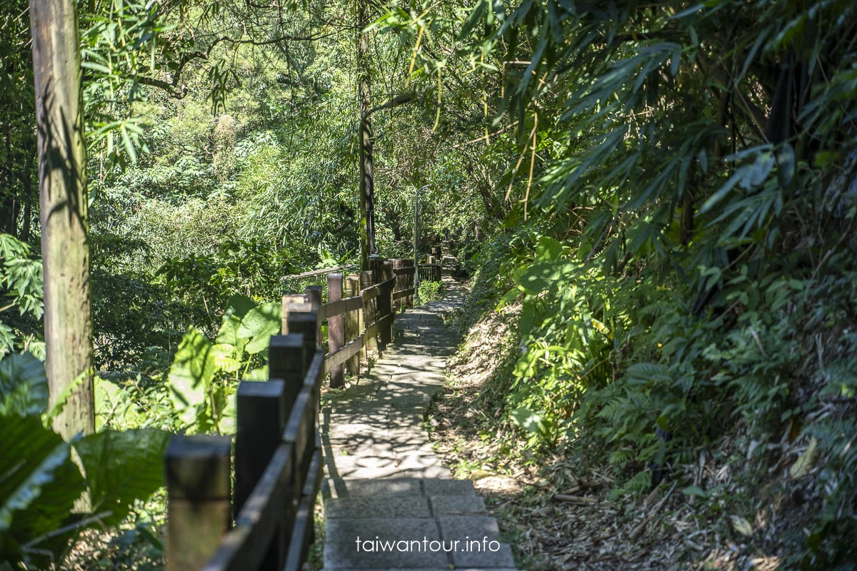 【豹山溪步道】台北免費景點親子大自然.螢火蟲推薦