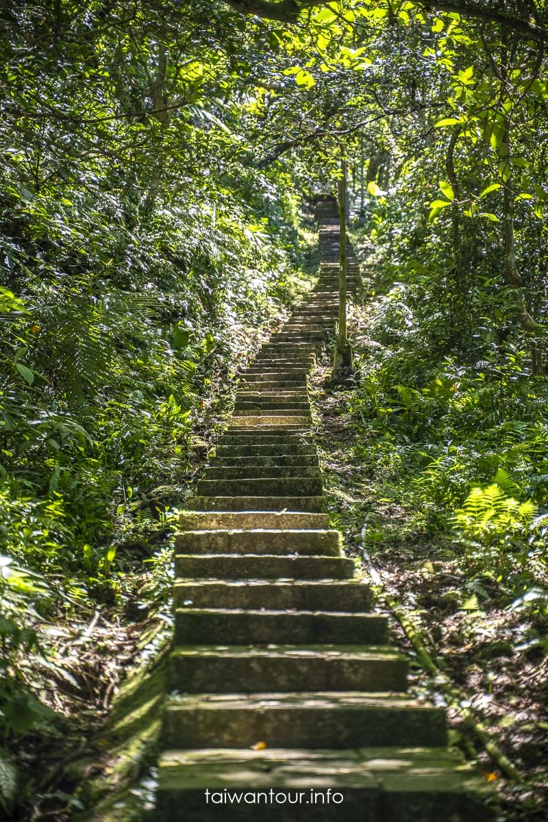 【豹山溪步道】台北免費景點親子大自然.螢火蟲推薦
