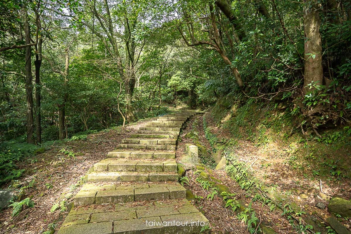 【新山夢湖】汐止景點推薦.怎麼去.交通.婚紗照.路線