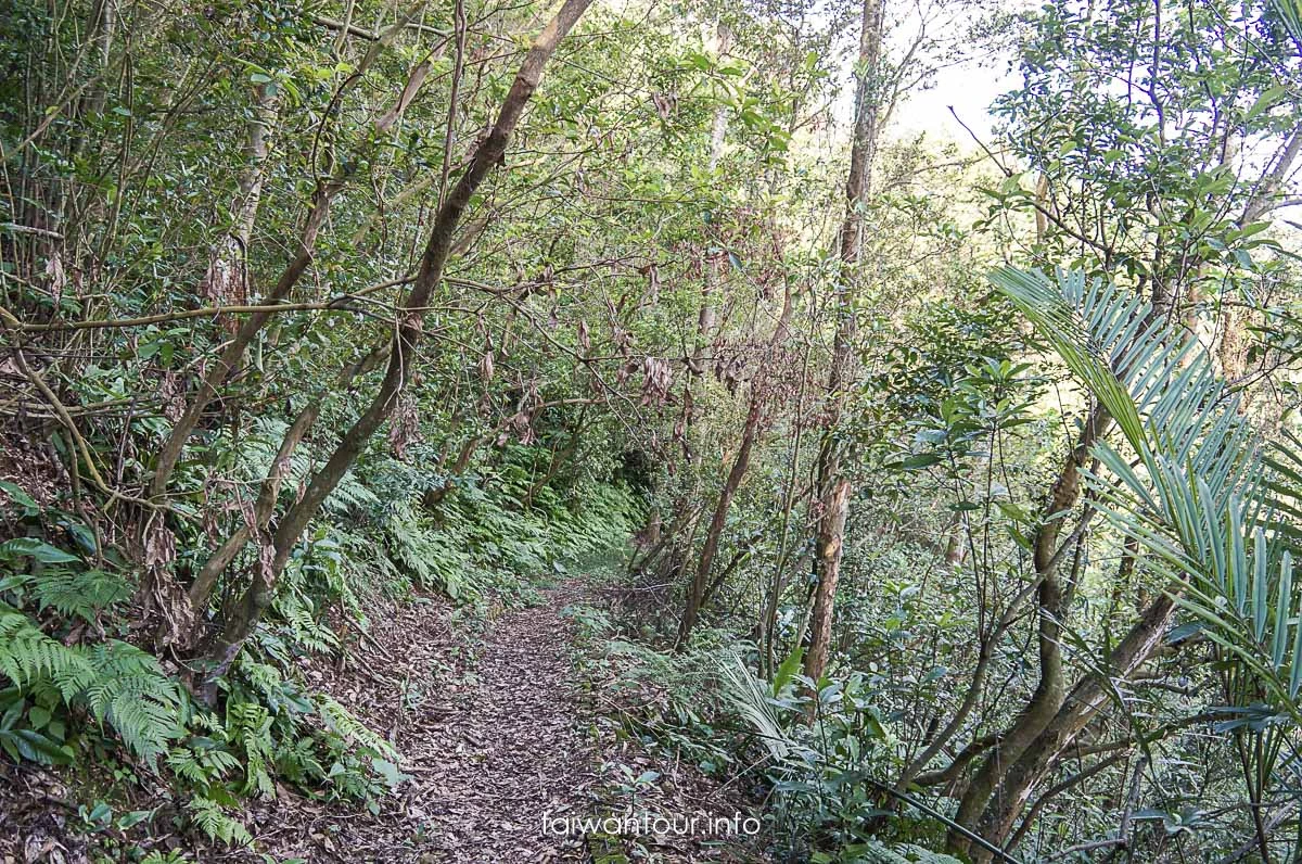 【隘勇古道】宜蘭員山鄉景點推薦秘境步道 【隘勇古道】宜蘭員山鄉景點推薦秘境步道