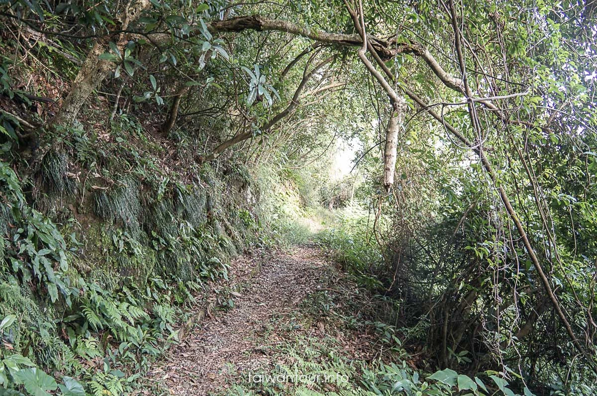 【隘勇古道】宜蘭員山鄉景點推薦秘境步道 【隘勇古道】宜蘭員山鄉景點推薦秘境步道
