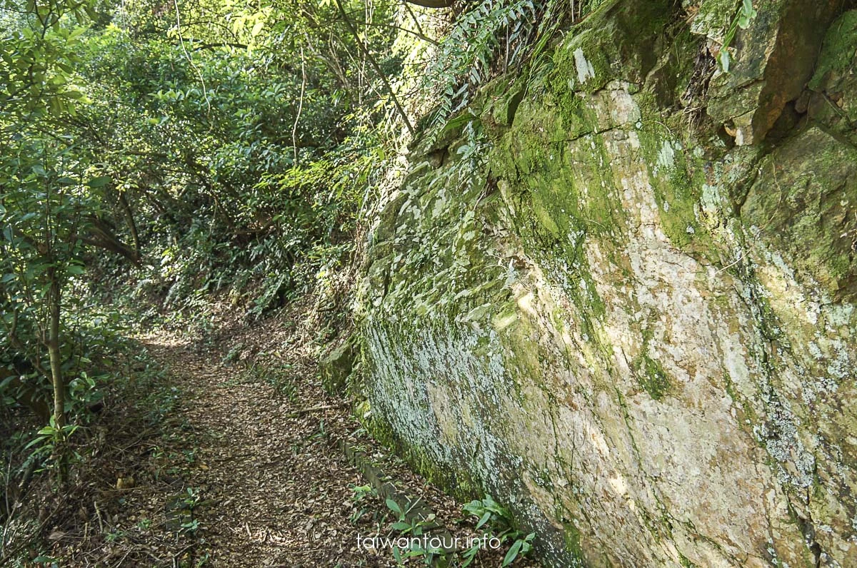 【隘勇古道】宜蘭員山鄉景點推薦秘境步道 【隘勇古道】宜蘭員山鄉景點推薦秘境步道