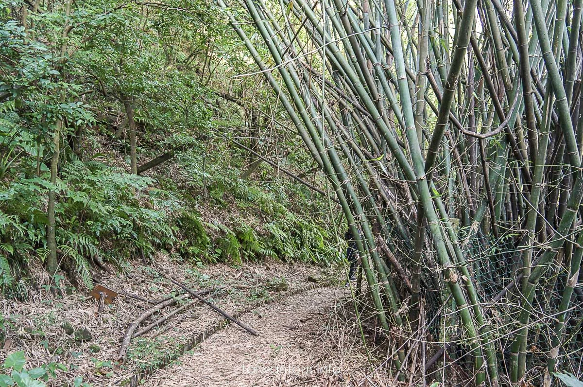 【隘勇古道】宜蘭員山鄉景點推薦秘境步道 【隘勇古道】宜蘭員山鄉景點推薦秘境步道