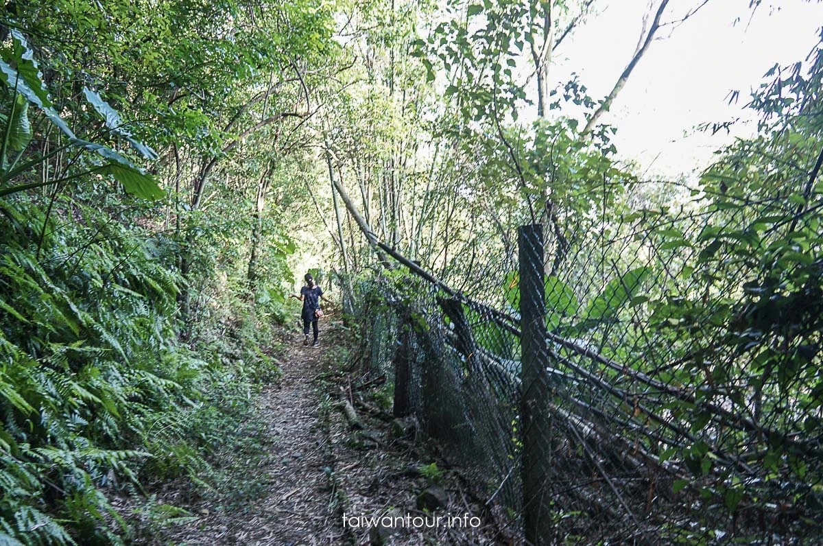 【隘勇古道】宜蘭員山鄉景點推薦秘境步道 【隘勇古道】宜蘭員山鄉景點推薦秘境步道