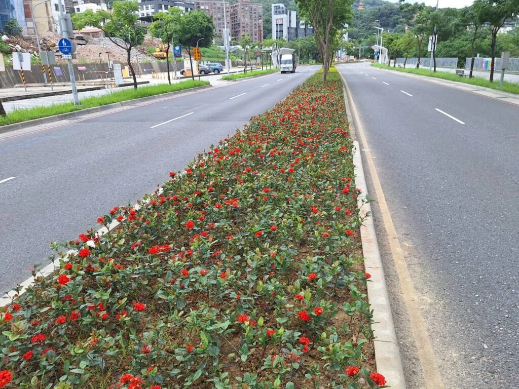 三鶯文創新亮點 　景觀處打造館前路綠色廊道